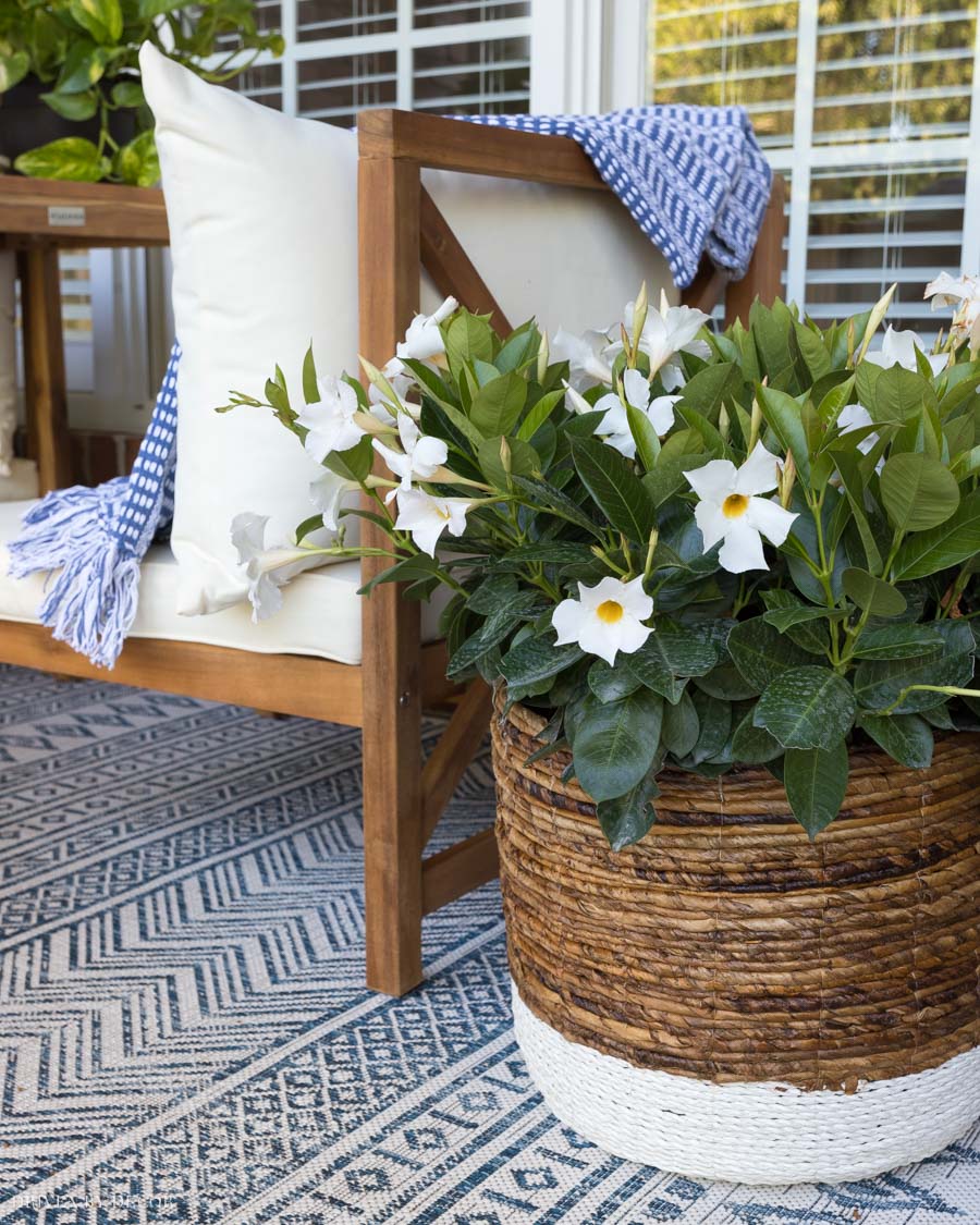 back-porch-ideas-planter-basket Gorgeous basket holding a plant on the back porch!